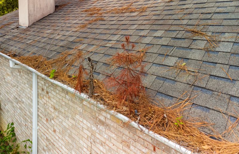 Gutter Pine Needle Removal in Long Island, NY