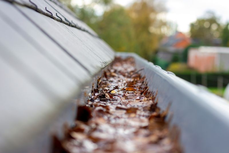 Commercial Downspout Cleaning in Littleton, CO