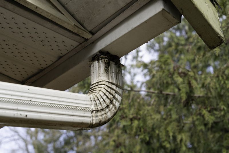 Downspout Blockage Removal in Richmond, VA